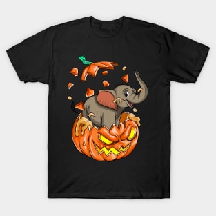 Elephan In The Pumpkin tshirt halloween costume funny gift t-shirt T-Shirt